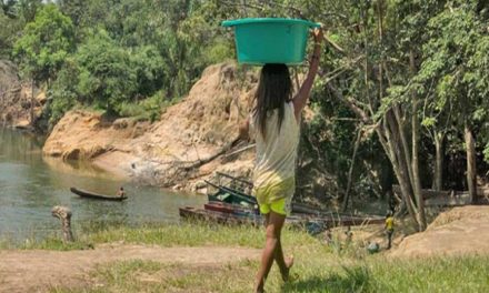 Arco Minero del Orinoco vulnera derechos de las comunidades indígenas