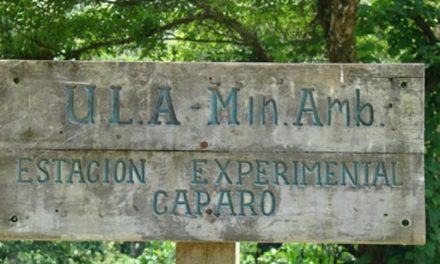 COMUNICADO: Ante la grave destrucción ambiental de la Estación Experimental Caparo de la Universidad de Los Andes