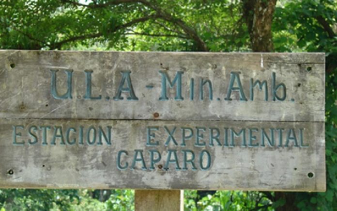 COMUNICADO: Ante la grave destrucción ambiental de la Estación Experimental Caparo de la Universidad de Los Andes