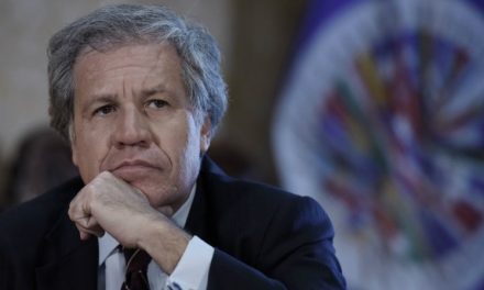 El informe de Almagro en cinco minutos