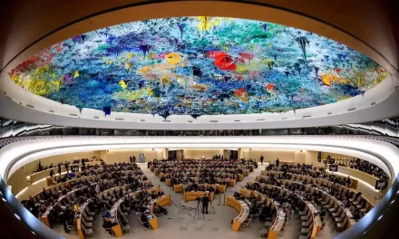 Expertos de Naciones Unidas expresaron su preocupación por «Ley Anti-sociedad» aprobada por la Asamblea Nacional