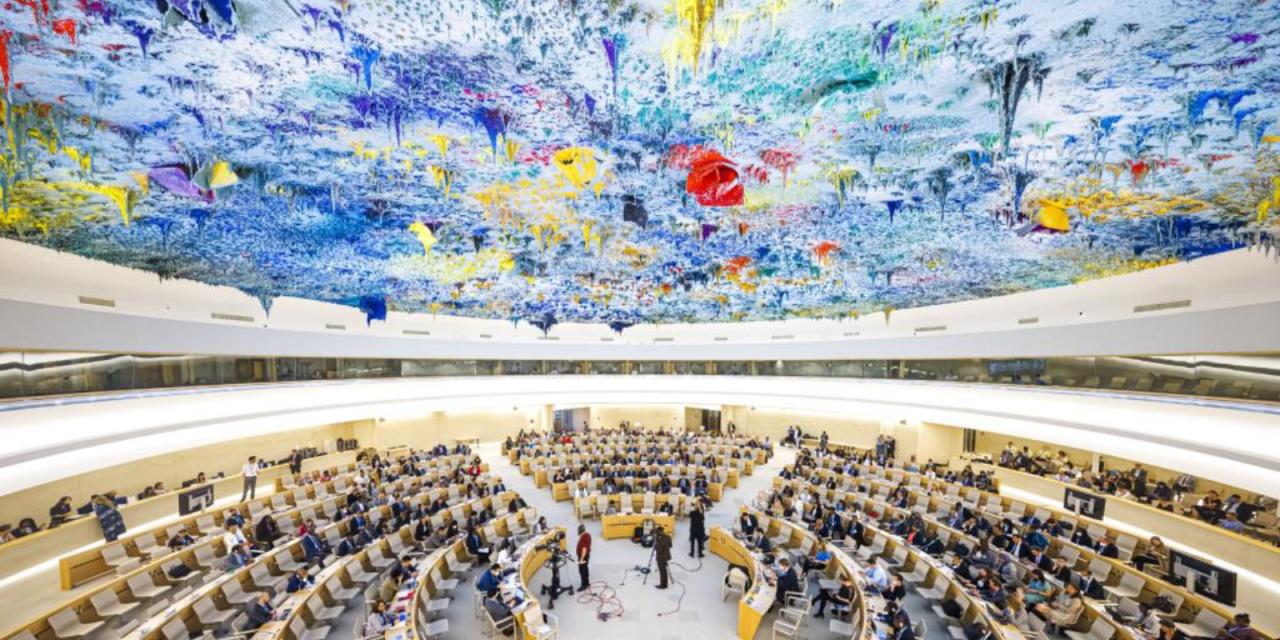 Defiende Venezuela Denunció Ante El Comité De DDHH Que Continúan Las Acciones De Violencia Y Amenazas Hacia La Sociedad Civil En El País
