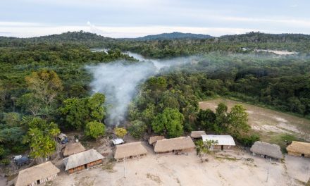 Kapé Kapé / En 2022 fueron asesinados 177 defensores ambientales