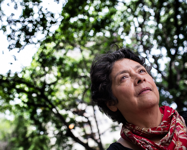 El Estado Comunal. Entrevista a Margarita López Maya y Juan Rafalli