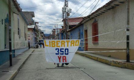 ODH-ULA contabilizó 49 detenidos en Mérida post ANC