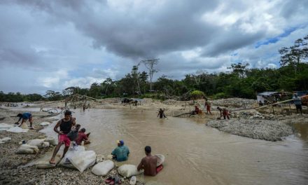 Epidemia indomable: municipios enteros están condenados a padecer malaria