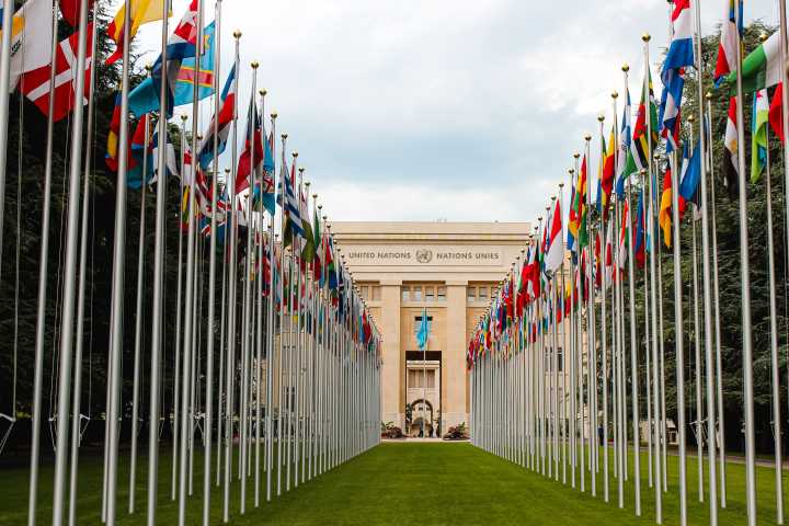 Alerta Venezuela DDHH  en alianza con el Centro de Estudios de Derecho, Justicia y Sociedad, Dejusticia y el Centro de DDHH y Justicia Global de la Universidad de Nueva York presentan el informe “Proteger los derechos humanos en el terreno»