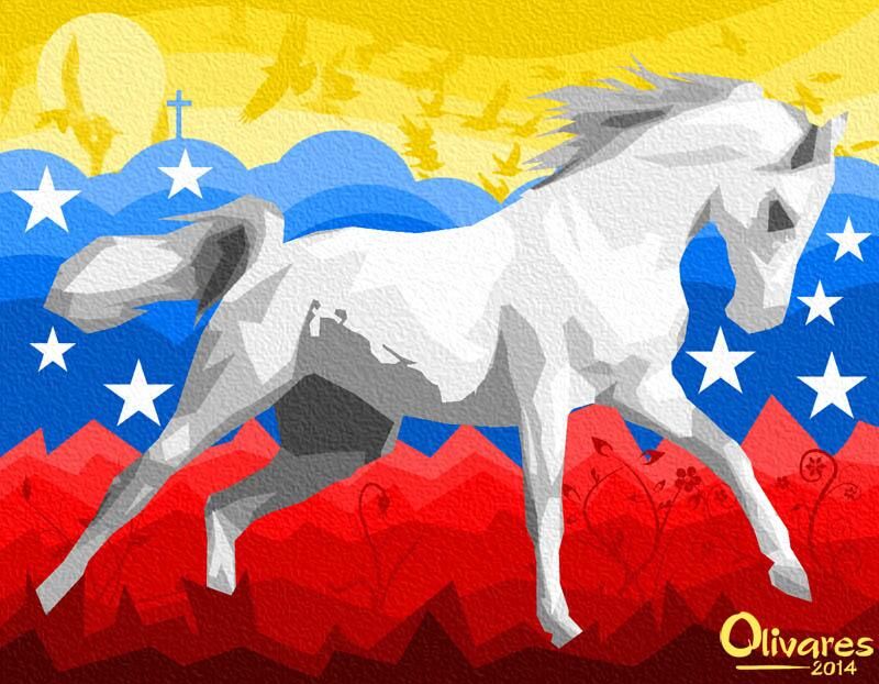 ONG y Sociedad Civil: Las elecciones del 20 de mayo no serán libres ni creíbles