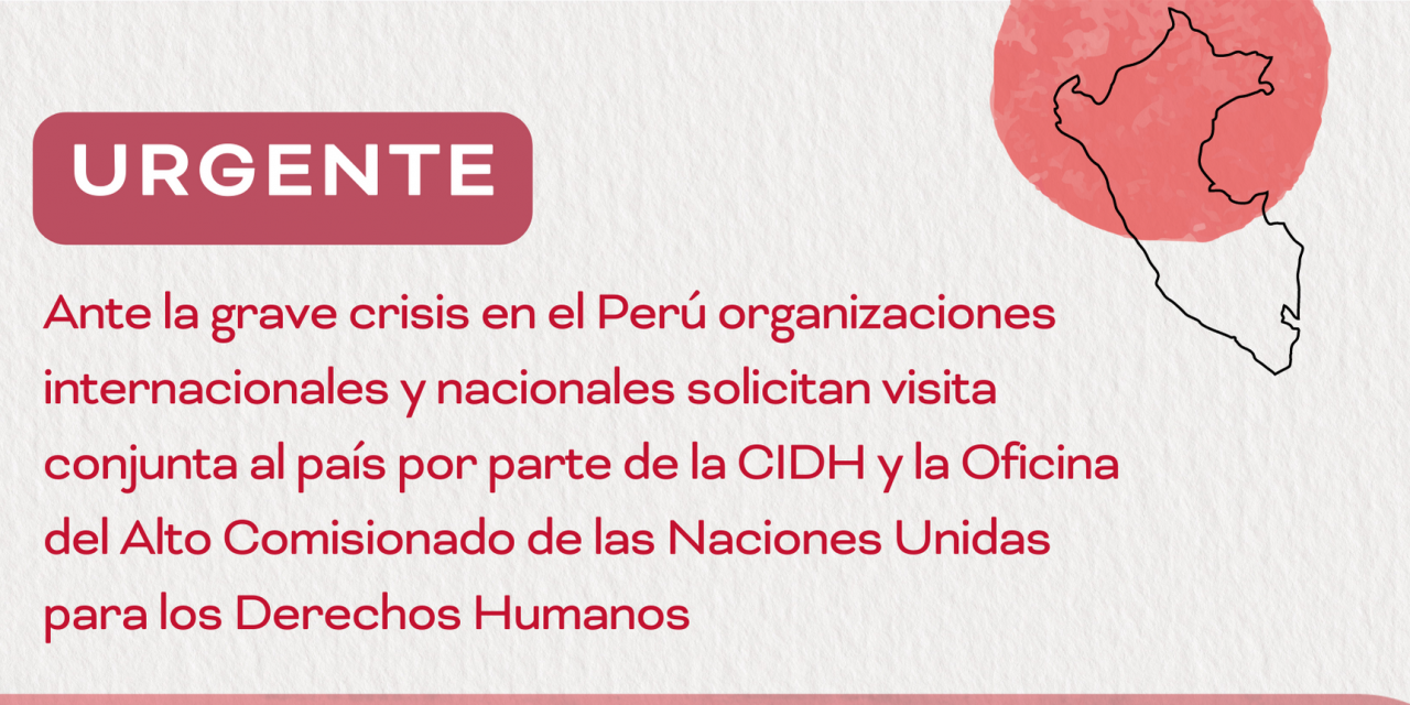 Comunicado Conjunto / Ante la grave crisis en el Perú organizaciones internacionales y nacionales solicitan visita conjunta al país por parte de la CIDH y la Oficina del Alto Comisionado de las Naciones Unidas para los Derechos Humanos