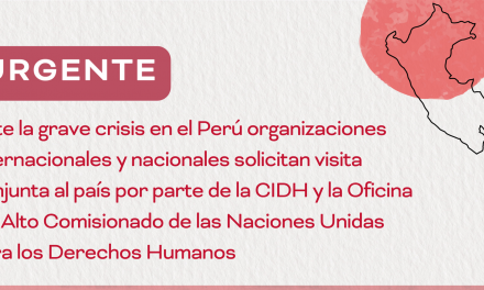 Comunicado Conjunto / Ante la grave crisis en el Perú organizaciones internacionales y nacionales solicitan visita conjunta al país por parte de la CIDH y la Oficina del Alto Comisionado de las Naciones Unidas para los Derechos Humanos