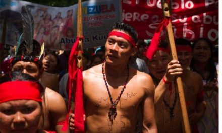 Justice International alerta a Naciones Unidas por violaciones de DDHH de pemones