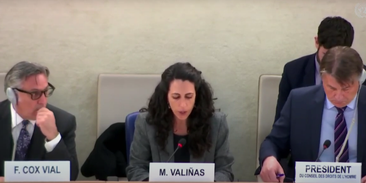 VENEZUELA: Expertos de la ONU alertan sobre constantes ataques a la sociedad civil, medios de comunicación y sindicato