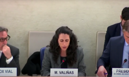 VENEZUELA: Expertos de la ONU alertan sobre constantes ataques a la sociedad civil, medios de comunicación y sindicato