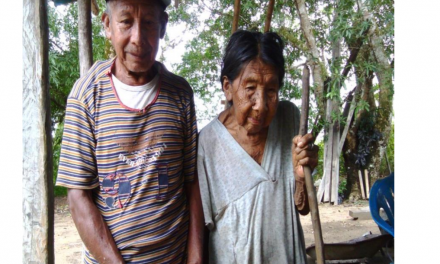 Kapé Kapé / Informe: Adulto Mayor Indígena Amazonas, Bolívar y Delta Amacuro