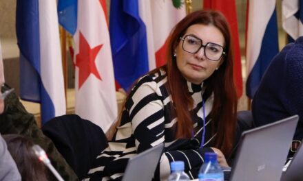 Sinergia participa en el XIV Encuentro Cívico Iberoamericano