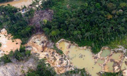 Crónica Uno/ Destrucción del Arco Minero se replica en Aragua y Carabobo