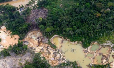 Organización de la Cuenca del Caura Kuyujani  exige el cumplimiento y preservación de los pueblos y comunidades indígenas