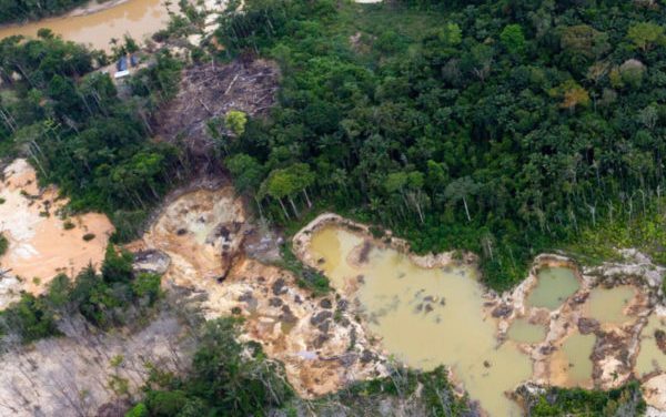 Organización de la Cuenca del Caura Kuyujani  exige el cumplimiento y preservación de los pueblos y comunidades indígenas