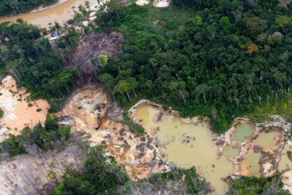 Organización de la Cuenca del Caura Kuyujani  exige el cumplimiento y preservación de los pueblos y comunidades indígenas