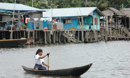 Provea / Informe Especial:Condiciones de salud y alimentación de la población indígena warao del estado Delta Amacuro