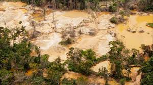 Comunicado Conjunto / Opacidad estatal niega soluciones a la crisis ambiental