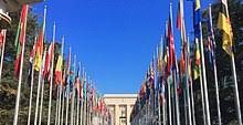 121 ONG venezolanas remiten carta a ONU-Hábitat para que el país no sea excluído de su plan Covid-19