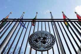 Venezuela no ha aplicado más del 80% de las recomendaciones de la ONU en materia de derechos cívicos