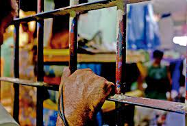 Informe UVL: Situación de los DDHH de las personas Privadas de Libertad en los CDP de Venezuela