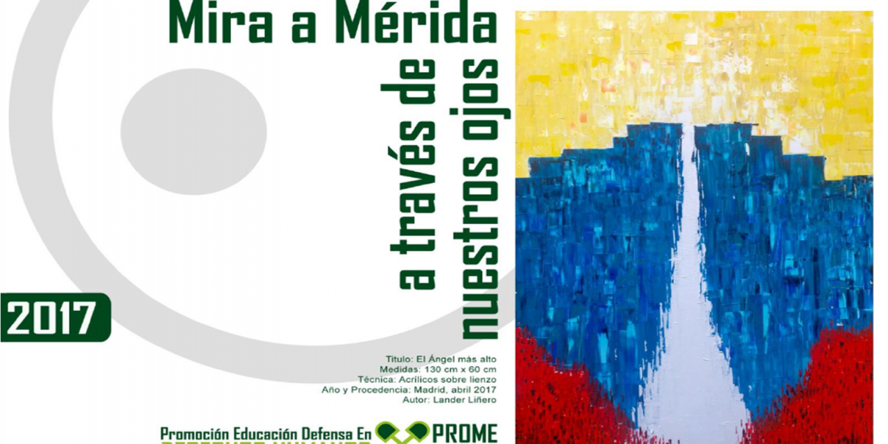 Promedheum: Informe Anual 2017 “Mira a Mérida a través de nuestros ojos”
