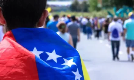 Comunicado Conjunto / Pleno respeto de los derechos a la libertad de reunión pacífica, participación política y democracia de la ciudadanía en el proceso de las primarias