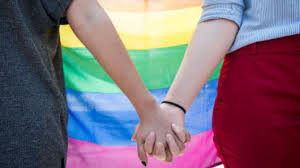 Acnur Venezuela y ONG regionales impulsan agenda para la protección de las personas LGBTIQ
