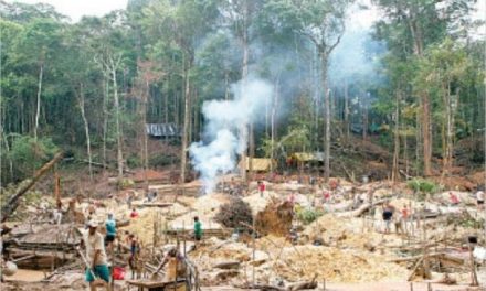 40 ONG rechazan ataque contra líder del pueblo Yabarana de Amazonas, haciendo exigencias a las autoridades