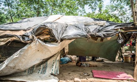 Informe Especial Provea: Crisis migratoria venezolana y responsabilidad de los Estados